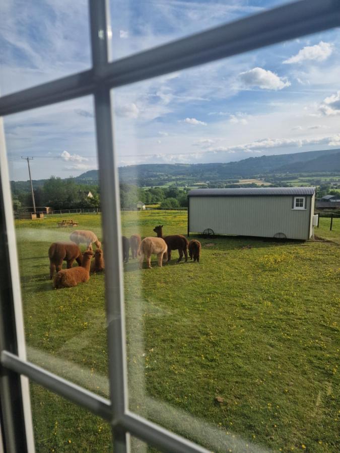 Cwtch Glamping Shepherds Huts Abergavenny Extérieur photo